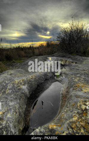 Westliche Blandy Versuchsbetrieb in Clarke County Virginia. Stockfoto