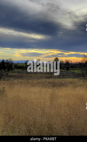 Westliche Blandy Versuchsbetrieb in Clarke County Virginia. Stockfoto