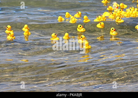 Vereinzelte gelbe Gummiduckies auf klares Wasser Stockfoto