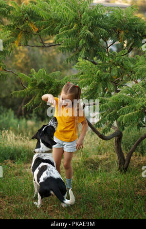 Kleine Mädchen und mongrel Hund im Freien. Kind gibt behandeln zu ihr Haustier. Kinder und Tiere. Stockfoto