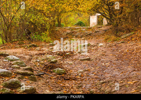 Ein steiniger Weg bergauf im Herbst regnerischen leeren Park Stockfoto
