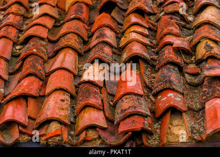 Close-up der Schindeln auf dem Dach eines alten Hauses Stockfoto