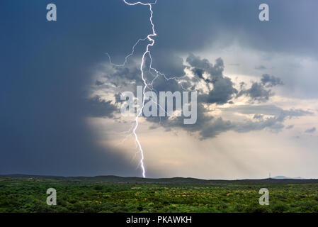 Ein starker Blitz aus klarer Luft trifft von einem Monsun-Gewitter in der Nähe von Tucson, Arizona, ein Stockfoto