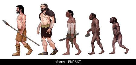 Die menschliche Evolution digitale Illustration, Homo erectus, Australopithecus Stockfoto