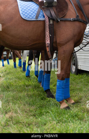 Niagara Polo empfohlene zwei chukker Spiele mit Spielern aus der Toronto Polo Club, traditionelle divot Stomp mit Sekt und halb-Unterhaltung. Stockfoto