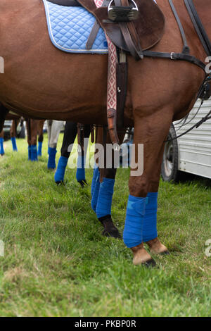 Niagara Polo empfohlene zwei chukker Spiele mit Spielern aus der Toronto Polo Club, traditionelle divot Stomp mit Sekt und halb-Unterhaltung. Stockfoto