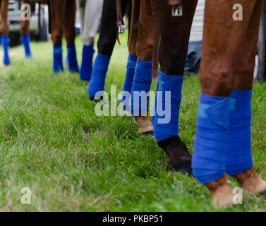 Niagara Polo empfohlene zwei chukker Spiele mit Spielern aus der Toronto Polo Club, traditionelle divot Stomp mit Sekt und halb-Unterhaltung. Stockfoto