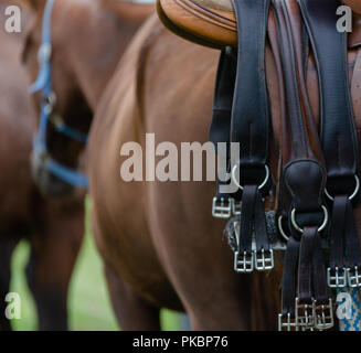 Niagara Polo empfohlene zwei chukker Spiele mit Spielern aus der Toronto Polo Club, traditionelle divot Stomp mit Sekt und halb-Unterhaltung. Stockfoto