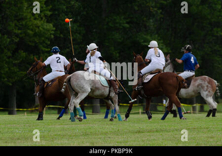 Niagara Polo empfohlene zwei chukker Spiele mit Spielern aus der Toronto Polo Club, traditionelle divot Stomp mit Sekt und halb-Unterhaltung. Stockfoto