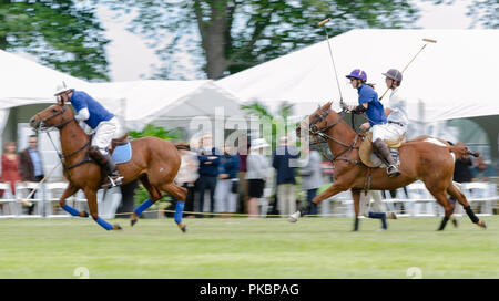 Niagara Polo empfohlene zwei chukker Spiele mit Spielern aus der Toronto Polo Club, traditionelle divot Stomp mit Sekt und halb-Unterhaltung. Stockfoto