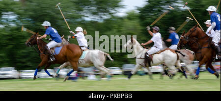 Niagara Polo empfohlene zwei chukker Spiele mit Spielern aus der Toronto Polo Club, traditionelle divot Stomp mit Sekt und halb-Unterhaltung. Stockfoto