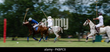 Niagara Polo empfohlene zwei chukker Spiele mit Spielern aus der Toronto Polo Club, traditionelle divot Stomp mit Sekt und halb-Unterhaltung. Stockfoto