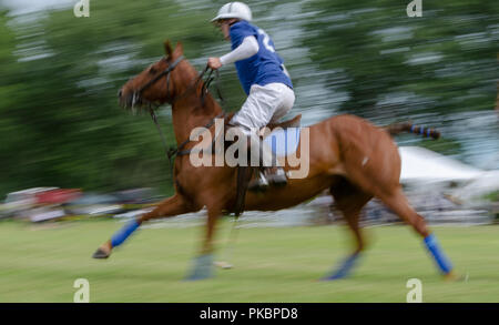 Niagara Polo empfohlene zwei chukker Spiele mit Spielern aus der Toronto Polo Club, traditionelle divot Stomp mit Sekt und halb-Unterhaltung. Stockfoto