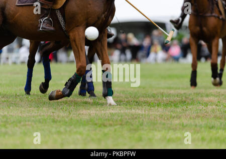 Niagara Polo empfohlene zwei chukker Spiele mit Spielern aus der Toronto Polo Club, traditionelle divot Stomp mit Sekt und halb-Unterhaltung. Stockfoto