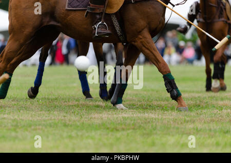 Niagara Polo empfohlene zwei chukker Spiele mit Spielern aus der Toronto Polo Club, traditionelle divot Stomp mit Sekt und halb-Unterhaltung. Stockfoto