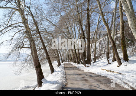 Allee der Bäume auf den verschneiten Ufer des Sees Orestiada in Kastoria, Griechenland Stockfoto