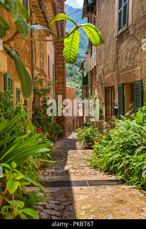 Spanien Mallorca, schöne Gasse mit typischen Blumentöpfe Dekoration an das alte Dorf Fornalutx Stockfoto