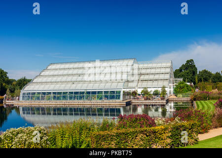 Die RHS Wisley Gardens im Gewächshaus. Stockfoto