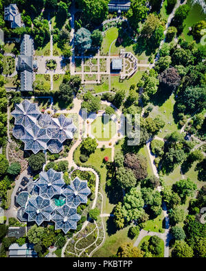 Palm Garden Park in Frankfurt am Main, Deutschland. Stockfoto