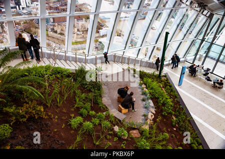 Kleine Farne und Leute gegen große Glasfenster in der Sky Garden, Walkie Talkie Gebäude (20 Fenchurch Street), London, England, Großbritannien Stockfoto