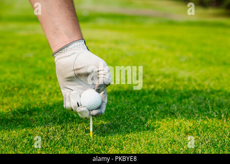 Nahaufnahme der Hand ein Golfspieler Tragen eines weißen Golf Handschuh und einen Golfball auf einem T-Stück; Edmonton, Alberta, Kanada Stockfoto