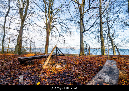 Campingplatz mit einem Kamin und einer Bank in der Nähe des Meeres in einem Wald im Herbst mit Blätter auf dem Boden Stockfoto