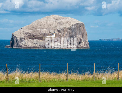 North Berwick, East Lothian, Schottland, Großbritannien, 12. September 2018. UK Wetter: Ein schöner sonniger Tag an der Ostschottischen Küste. Der Bass Rock im Firth of Forth, die Heimat der weltweit größten Kolonie von Nordtölpeln, funkelt im Sonnenschein weiß. Die Isle of May, ein schottisches Naturerbe, liegt in der Ferne Stockfoto