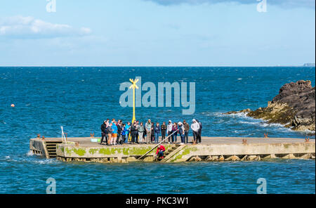 North Berwick, East Lothian, Schottland, UK, 12. September 2018. UK Wetter: ein schöner sonniger Tag auf der Östlichen schottischen Küste im Firth von weiter. Studenten aus der Stirling Universität besuchen Sie die North Berwick Hafen Hummer Brutplatz und einen Hummer in die Firth-of-Forth Release von der Anlegestelle Stockfoto