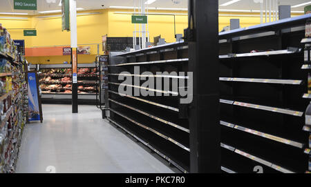 Durham, North Carolina, USA. 12 Sep, 2018. Leere Regale für hohe Nachfrage Lebensmittel vor Hurrikan Florenz in Durham, N.C. am Mittwoch, 12. September 2018. Credit: Fabian Radulescu/ZUMA Draht/Alamy leben Nachrichten Stockfoto