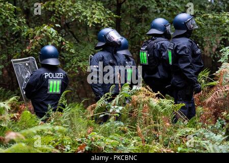 13. September 2018, Nordrhein-Westfalen, Kerpen: Polizeibeamte stehen im Hambacher Forst. Die Behörden wollen Räumungen im Hambacher Forst zu starten. Foto: Marius Becker/dpa Stockfoto