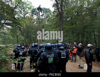 13. September 2018, Nordrhein-Westfalen, Kerpen: Polizeibeamte stehen im Hambacher Forst. Die Behörden wollen Räumungen im Hambacher Forst zu starten. Foto: Oliver Berg/dpa Stockfoto