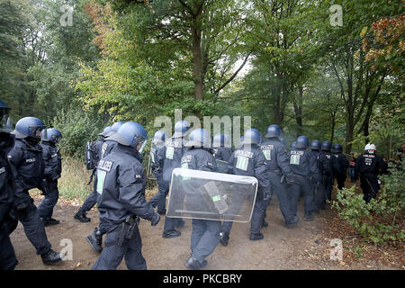 13. September 2018, Nordrhein-Westfalen, Kerpen: Polizisten gehen Sie zum hambacher Wald. Die Behörden wollen Räumungen im Hambacher Forst zu starten. Foto: Oliver Berg/dpa Stockfoto