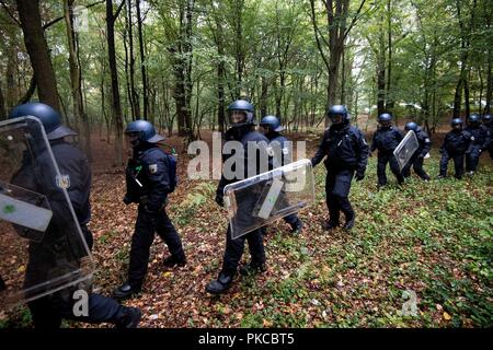 13. September 2018, Nordrhein-Westfalen, Kerpen: Polizisten sind zu Fuß im Hambacher Forst. Die Behörden wollen Räumungen im Hambacher Forst zu starten. Foto: Marius Becker/dpa Stockfoto