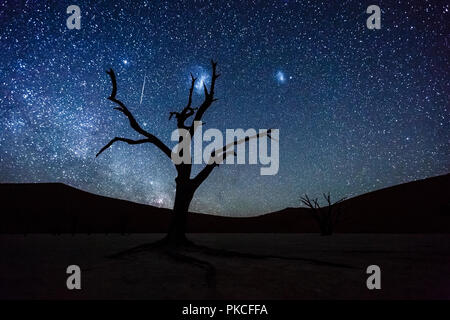 Toter Baum vor Sternenhimmel mit Milchstraße, Deadvlei, Sossusvlei, Namibia Stockfoto