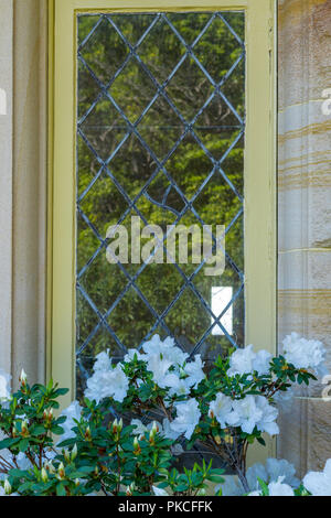 Windows in Gleniffer Brae Wollongong Australien Stockfoto