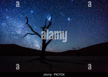 Toter Baum vor Sternenhimmel mit Milchstraße, Deadvlei, Sossusvlei, Namibia Stockfoto