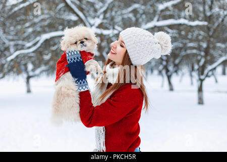 Junge schöne Mädchen hält kleine Welpen in seine Hände und spielen mit ihm. Stockfoto