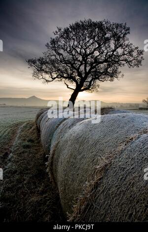 Morton Carr und Roseberry Topping, North Yorkshire, 2008. Artist: Mike Kipling. Stockfoto