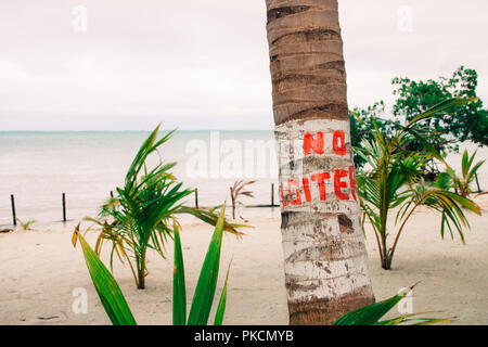 Keine herumzulungern Zeichen auf der Palme und bedeckt Karibik Stockfoto