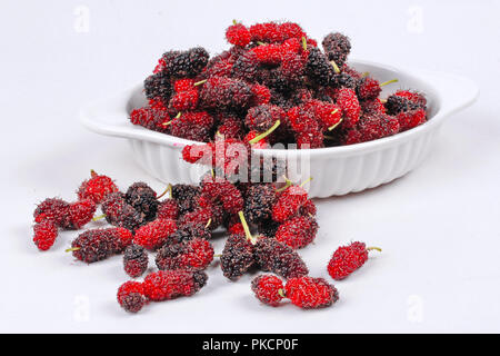 Frischen schwarzen und roten reifen Maulbeeren halten aus dem Garten auf weißem Hintergrund. Stockfoto