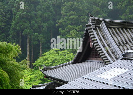 Japanische Haus im Grünen Wald (Landschaft in der Nähe von Kyoto) Stockfoto