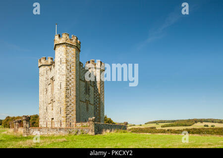 Hiorne Turm in Arundel Park, West Sussex, England. Stockfoto