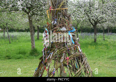 Frühling in Glastonbury Abbey Gardens, Glastonbury, Somerset, Großbritannien Stockfoto