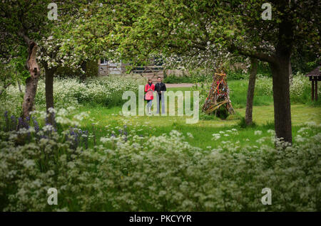 Frühling in Glastonbury Abbey Gardens, Glastonbury, Somerset, Großbritannien Stockfoto