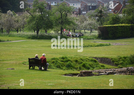 Frühling in Glastonbury Abbey Gardens, Glastonbury, Somerset, Großbritannien Stockfoto