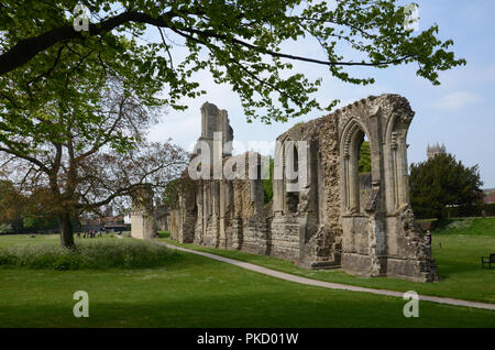 Frühling in Glastonbury Abbey Gardens, Glastonbury, Somerset, Großbritannien Stockfoto