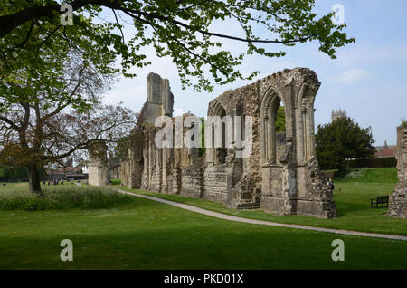 Frühling in Glastonbury Abbey Gardens, Glastonbury, Somerset, Großbritannien Stockfoto