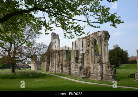 Frühling in Glastonbury Abbey Gardens, Glastonbury, Somerset, Großbritannien Stockfoto