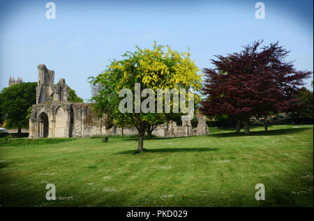 Frühling in Glastonbury Abbey Gardens, Glastonbury, Somerset, Großbritannien Stockfoto