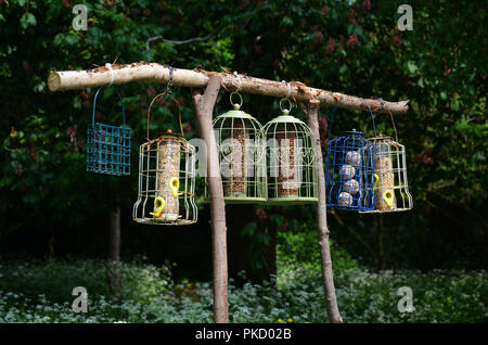 Frühling in Glastonbury Abbey Gardens, Glastonbury, Somerset, Großbritannien Stockfoto